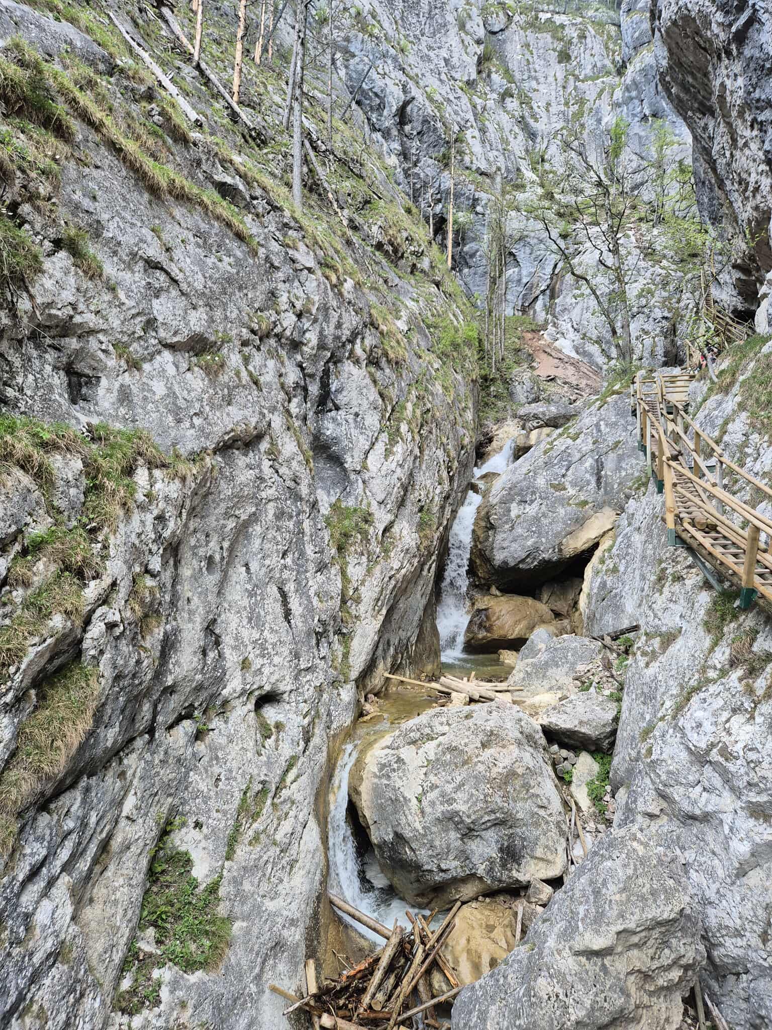 Description of the image
